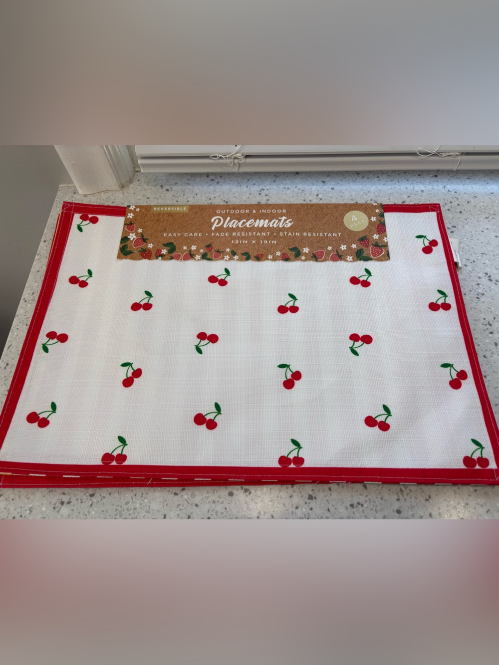 New in Package Set of 4 Fruit Theme Reversible Placemats- indoor/outdoor